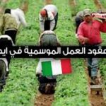 فرص عمل في إيطاليا